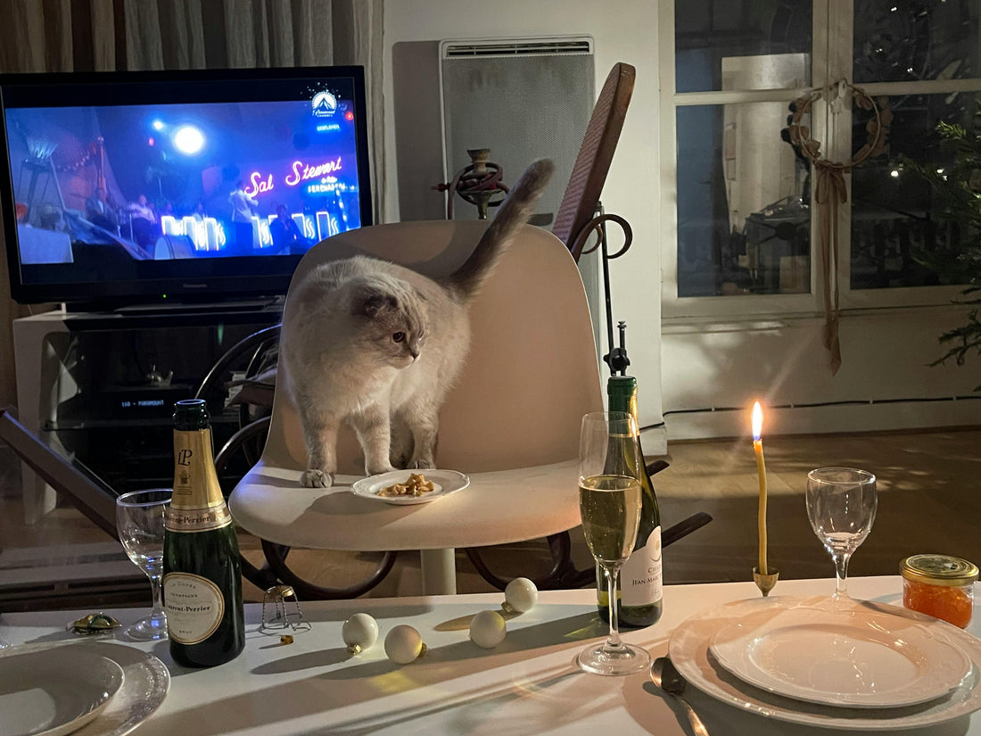 Top 5 Songs, die klingen, wie unsere Shirts aussehen.